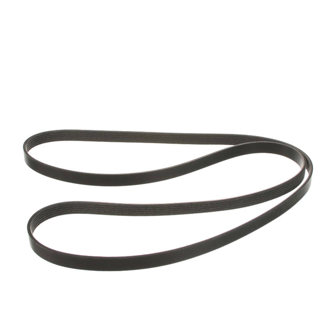 Serpentine Belt
